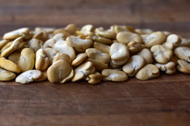 Dried fava beans on a counter