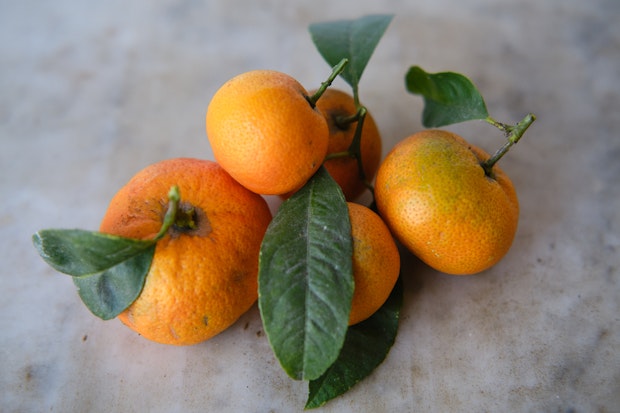 Five Rangpur Limes with Dark Green Leaves