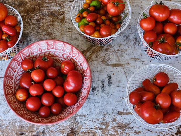 Pomidory z Ogrodu