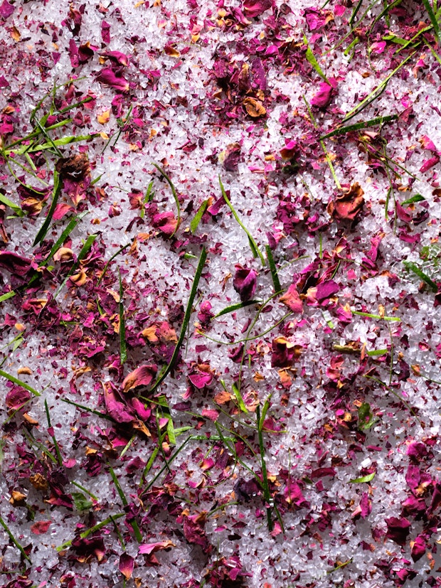 Spice Blends - Rose Geranium Lime Sugar