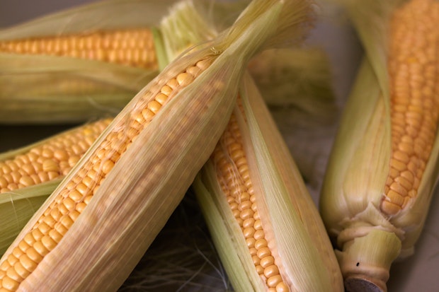 Close-up of Yellow Corn on the Cob