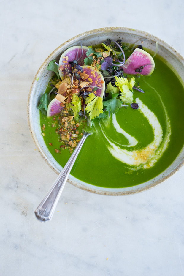 Ten Ingredient Alkalizing Green Soup Recipe - 101 Cookbooks