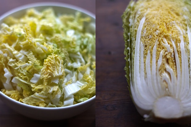 Photos of Cabbage cut in Half and Shredded