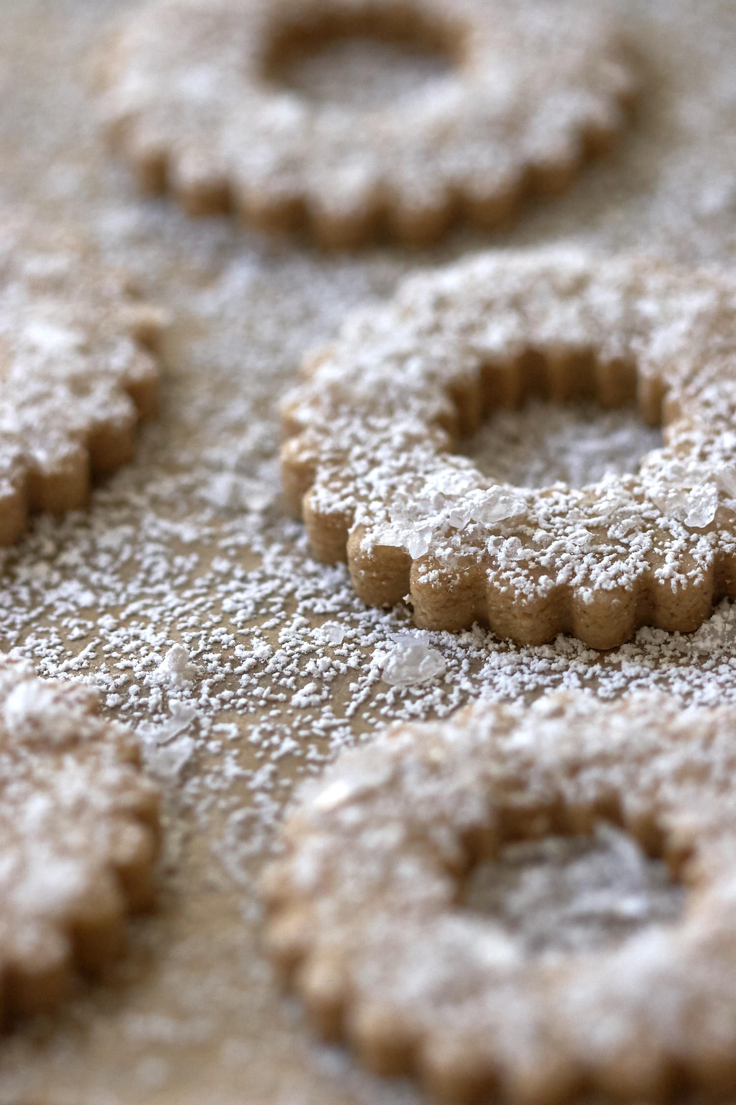 15 Festive Christmas Cookie Recipes