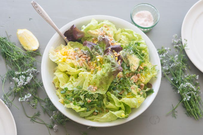 Micro Kale Studio Salad