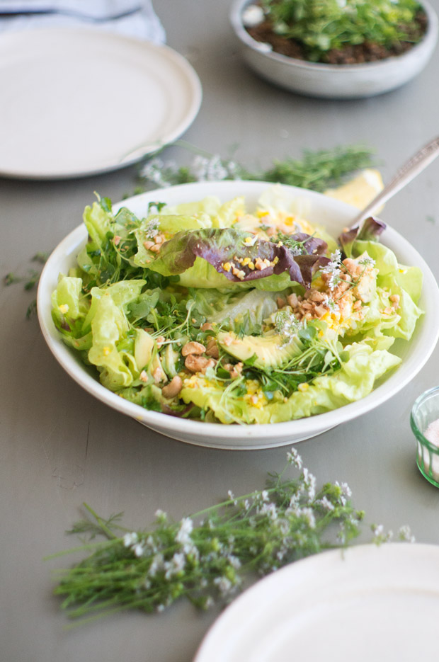 Blue Kale Studio Salad