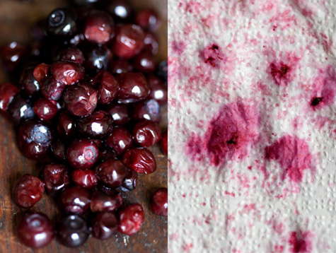 Berries for Coffee Cake