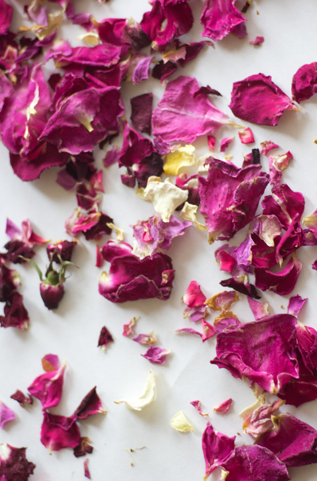 rose petals drying