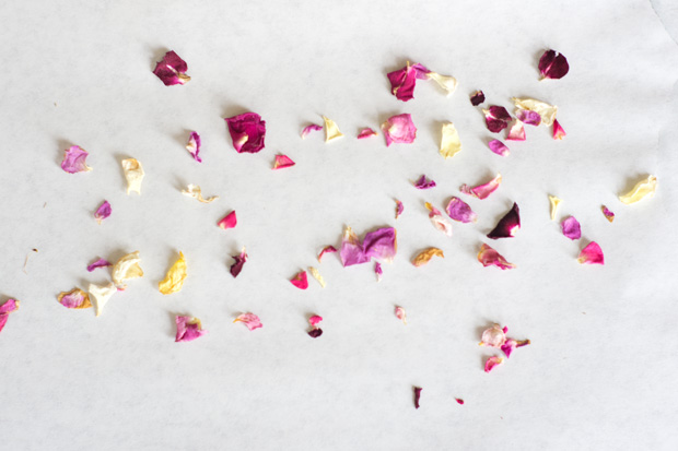 Edible Dried Petals – Polly's Petals