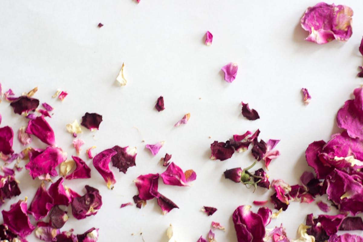 Dried Edible Rose Petals: Dehydrated for Culinary Uses