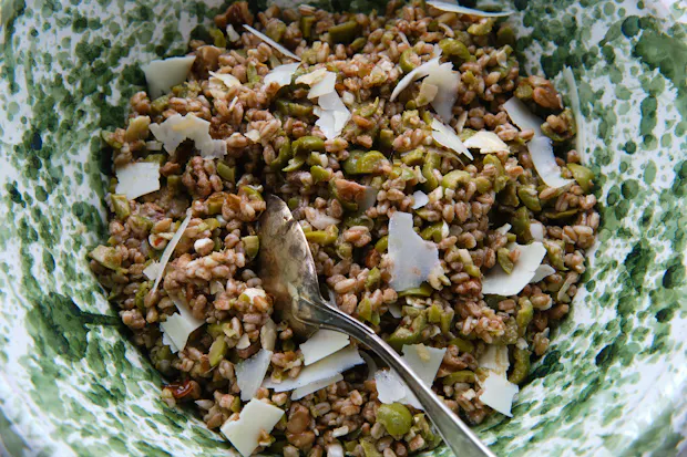 Farro Salad with Olives, Walnuts and Pecorino