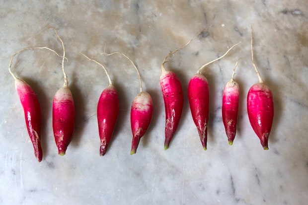 baby radishes