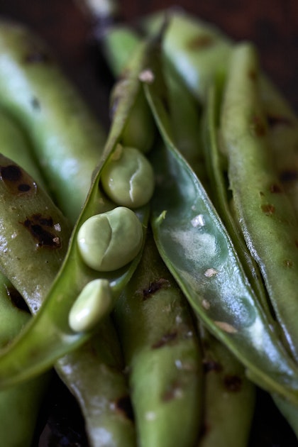 Grilled Fava Beans