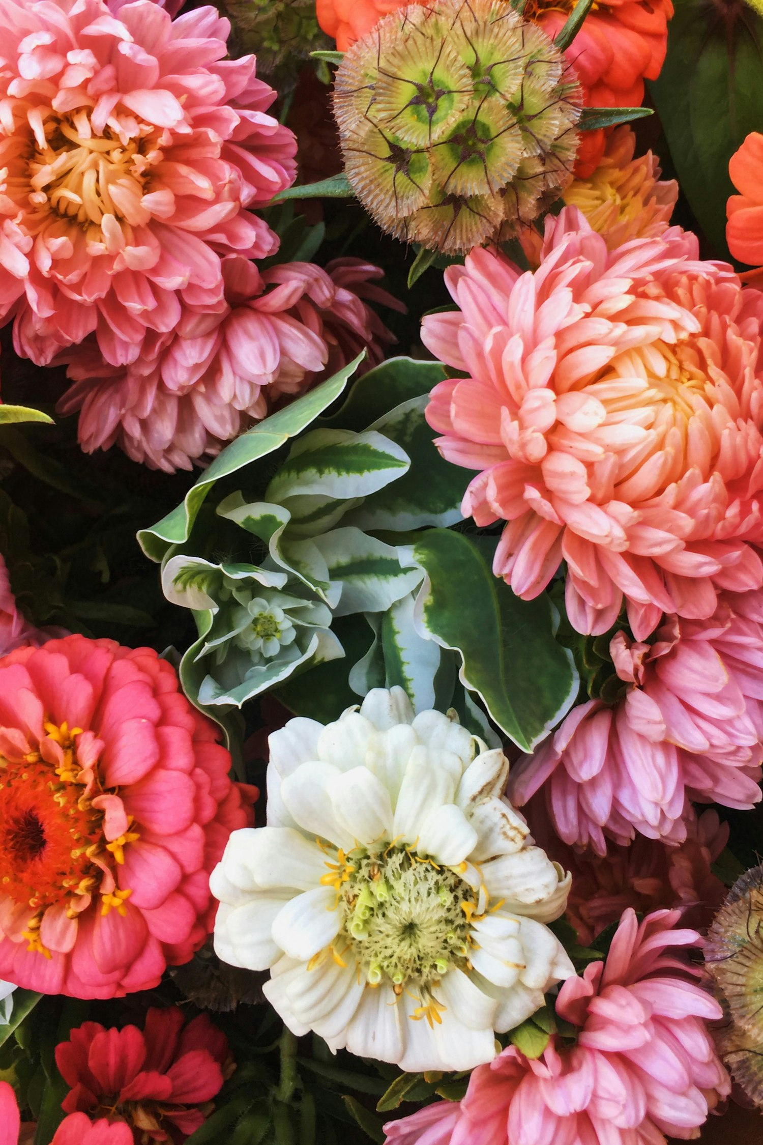 Farmers Market Summer Blossoms