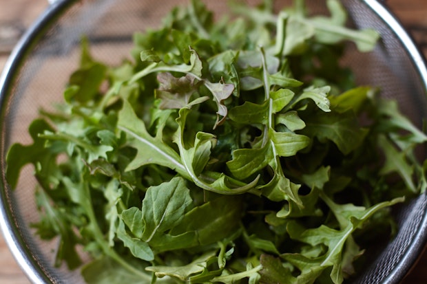 Close up of arugula