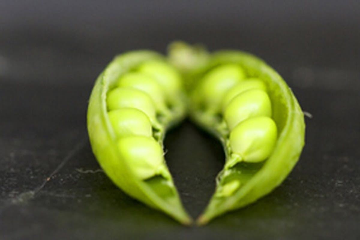 Fresh Shelling Peas: Four Ways