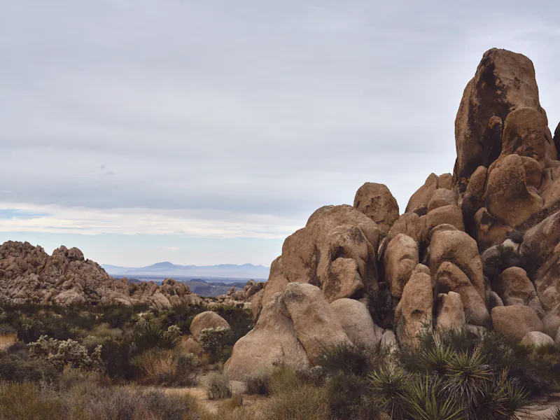 Joshua Tree-camping