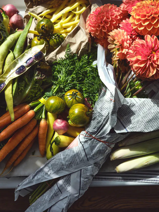 ingredients for summer lunch salad from the farmers market