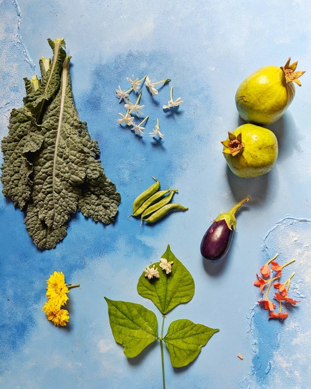If you Love Indian Food Follow These 15 Cooks on Instagram - 101 Cookbooks