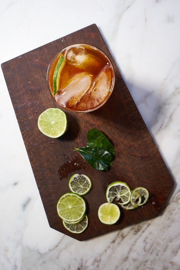 Kombucha Dark and Stormy Cocktail Recipe