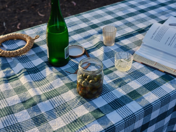 Items on a Picnic Table with Green Plaid Tablecloth