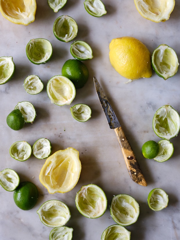 Kluczowe limonki, cytryny i limonki do sorbetu