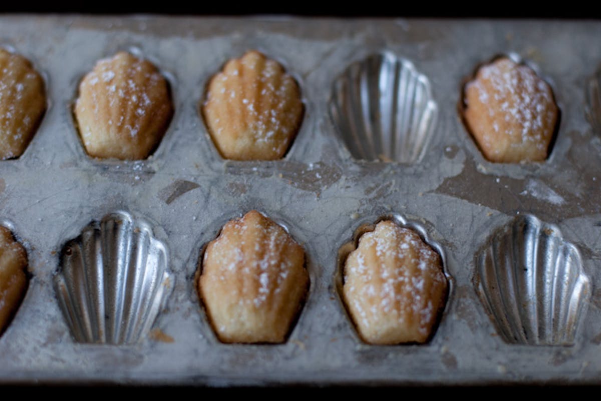 French Madeleines - A Cookie Named Desire