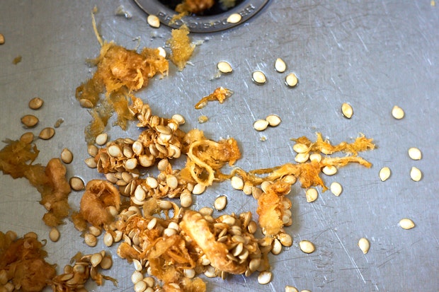 roasted delicata squash seeds in the bottom of a sink