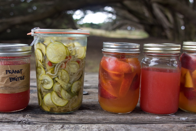 Quick Pickle Recipe