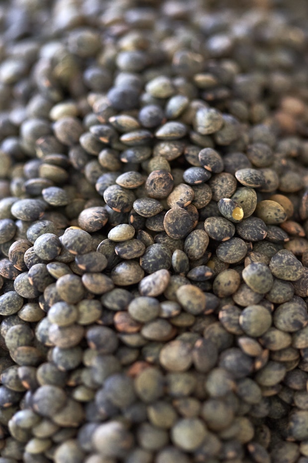 Close up photo of lentils