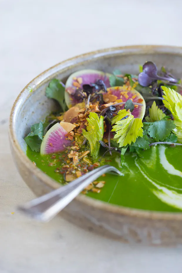 Thirteen Great Blended Soups you can Make Tonight