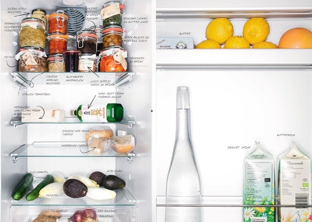 Ten Refrigerators that Inspire Healthy Eating