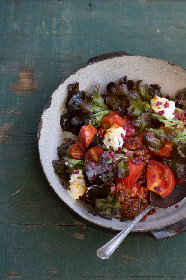 Roasted Tomato Salad in a bowl