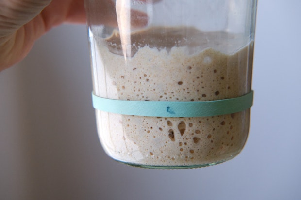 Sourdough starter in a glass jar on a table after feeding