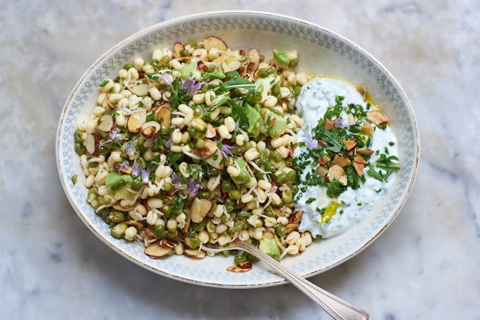 Sprout Salad
