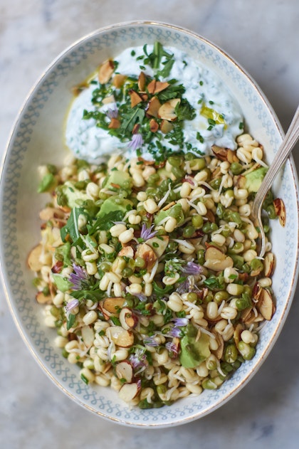 Sprout Salad