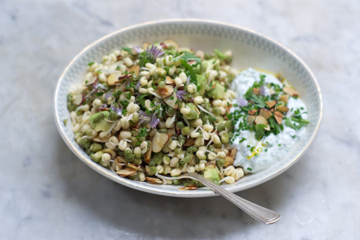 Arugula Salads And Sprouts, varieties, production, seasonality