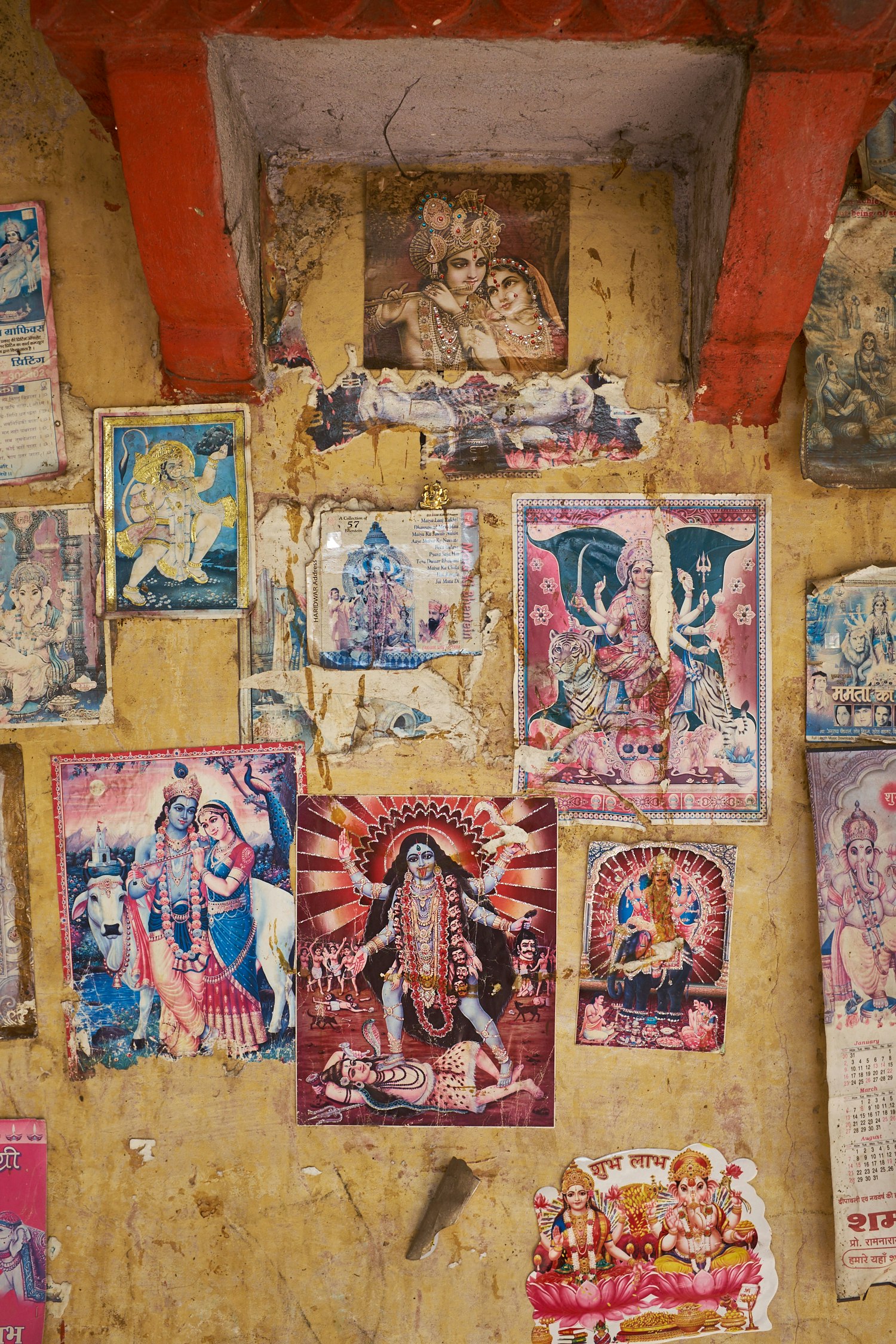 Food, Flowers, and Photography - Traveling Around India